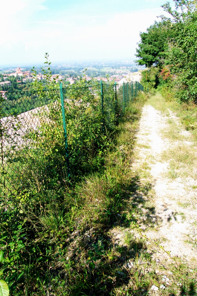 1/9/2002 - Sentiero per arrivare alla cappella di San Bernardo