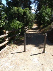 8/2012 - San Bernardo oggi (1)