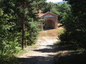 8/2012 - San Bernardo oggi (2)