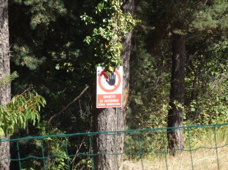 ... ad una decina di metri dal retro della Cappella di San Bernardo