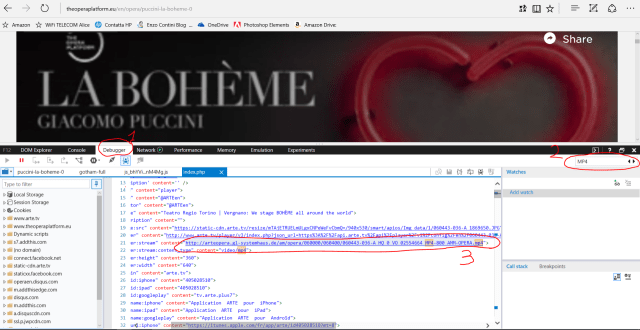 Search for the mp4 file URL in the page code