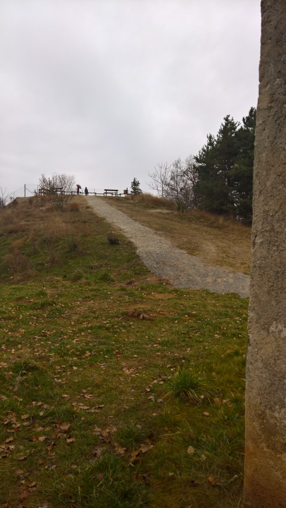 WP_20151230_11_49_36_Rich_LI