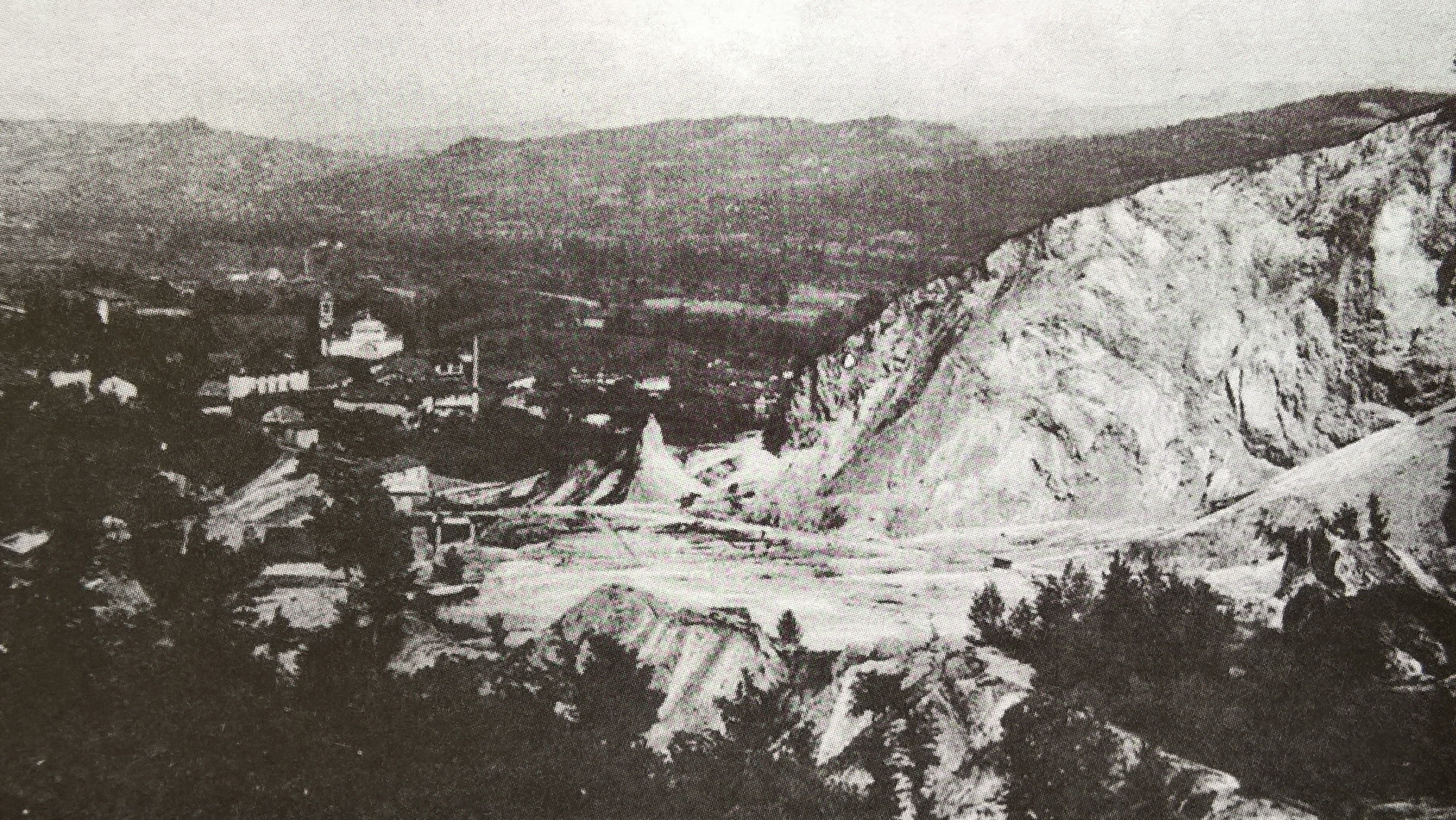 WP_20160103_14_26_29_Rich