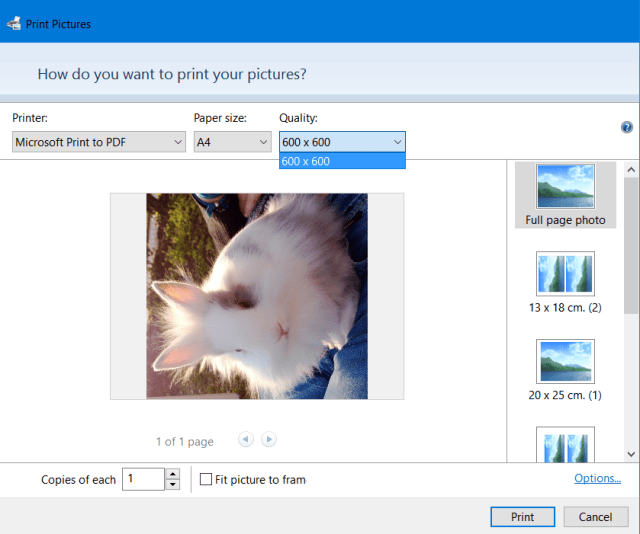 Only 600 DPI quality available