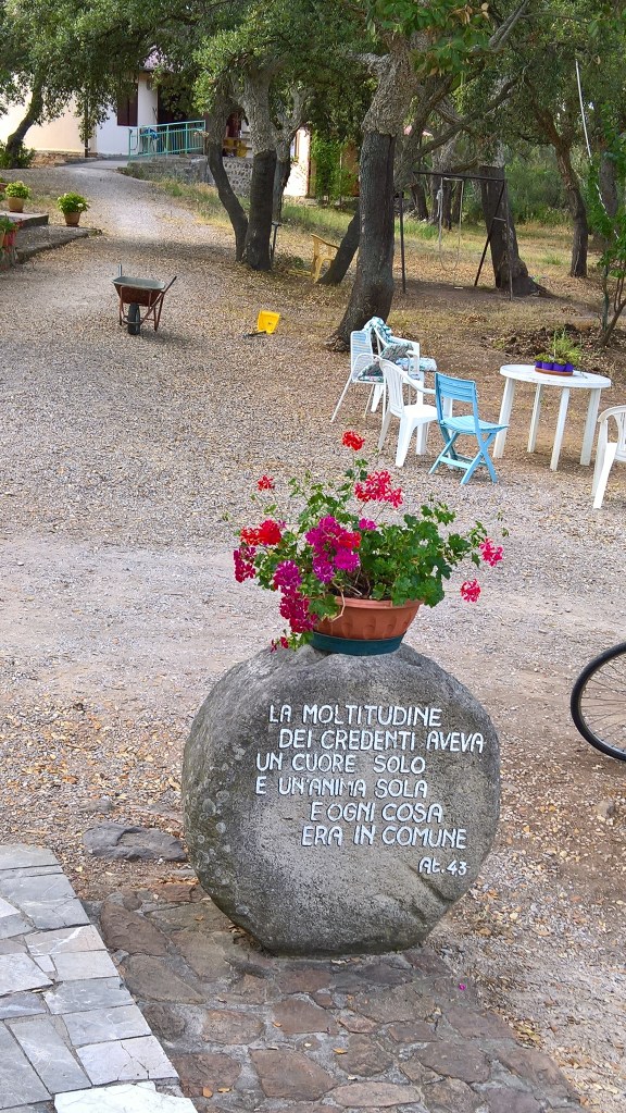 WP_20160713_09_51_44_Pro