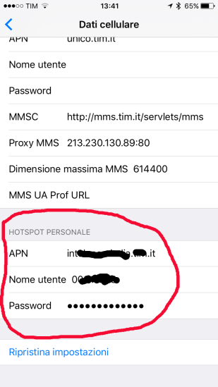 iOS from vers. 9 has the Personal Hotspot section
