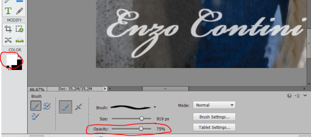 signatute-semitransp