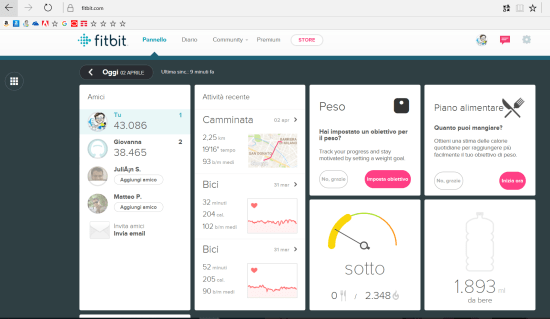 Dashboard disponibile dal sito fitbit.com