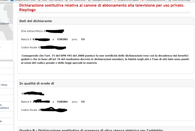 Wizard per l'inoltro dei dati della dichiarazione (passo 4)