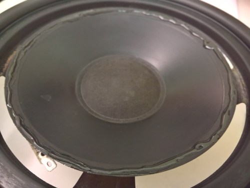 Distribute the glue on the external edge of the speaker cone (1)