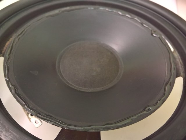 Distribute the glue on the external edge of the speaker cone (1)